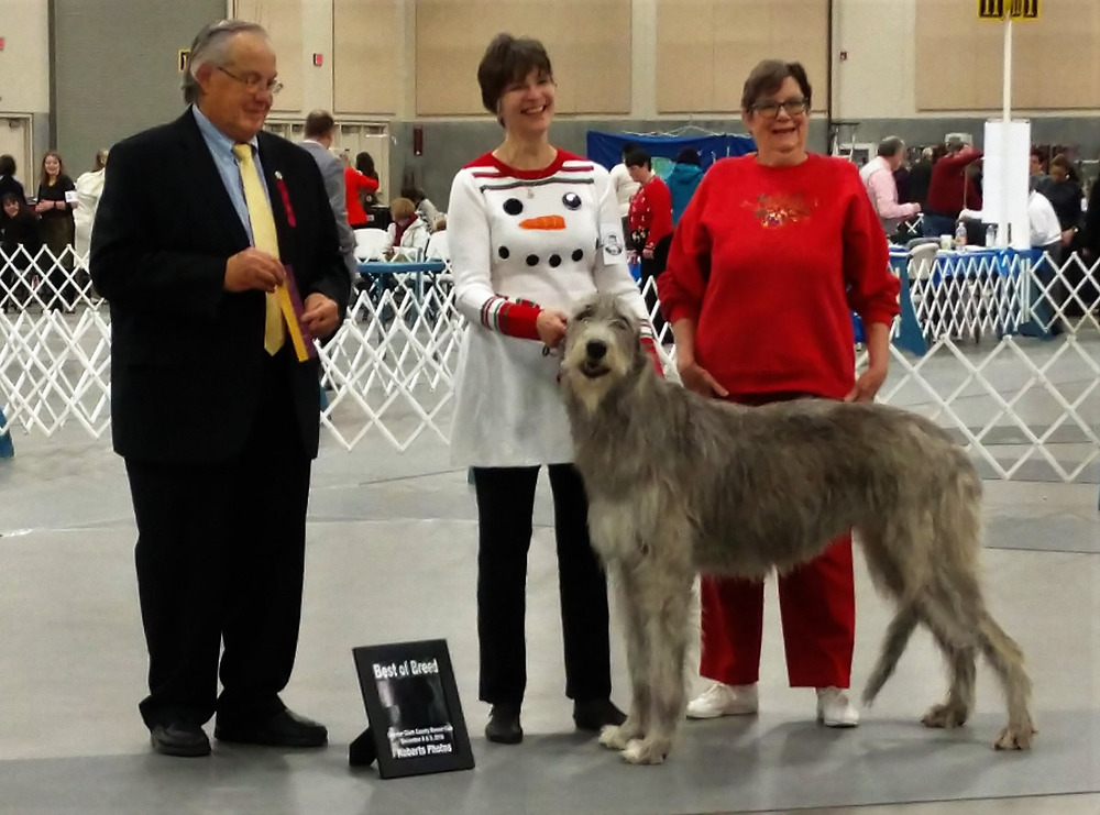 AKC Grand Championship winner The Wahkiakum County Eagle